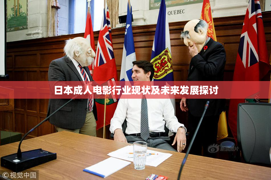 日本成人电影行业现状及未来发展探讨