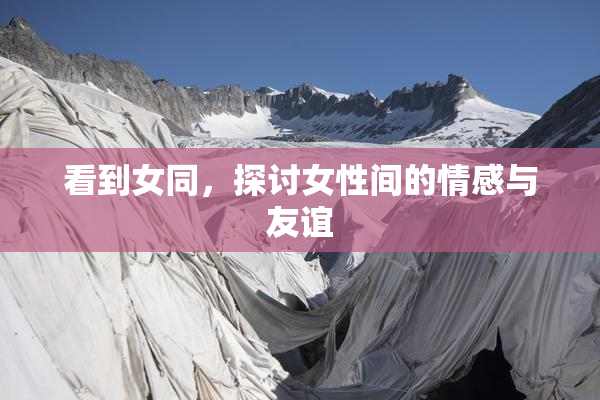 看到女同，探讨女性间的情感与友谊