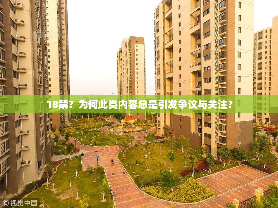 18禁？为何此类内容总是引发争议与关注？