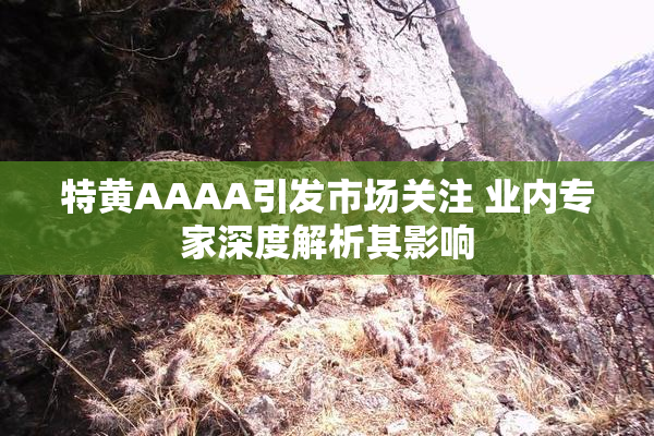 特黄AAAA引发市场关注 业内专家深度解析其影响