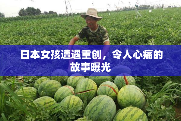 日本女孩遭遇重创，令人心痛的故事曝光