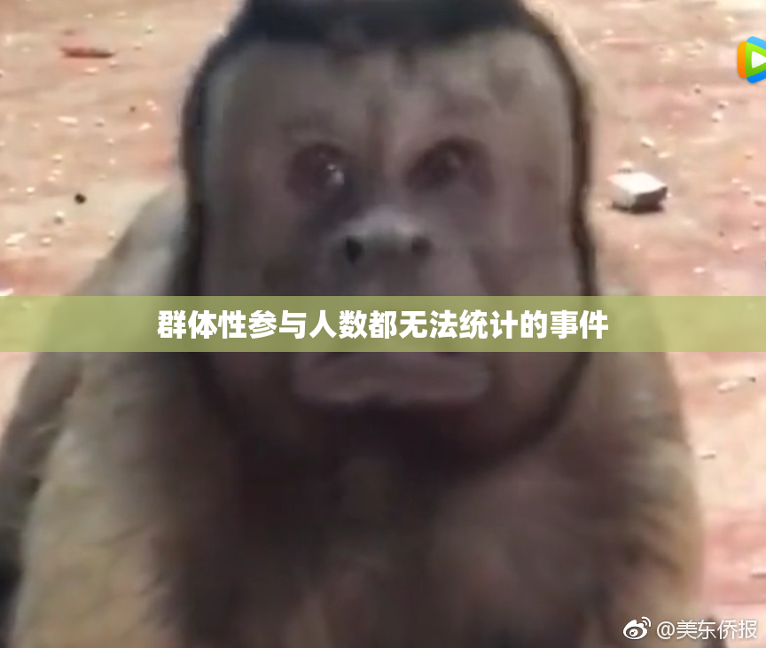 群体性参与人数都无法统计的事件