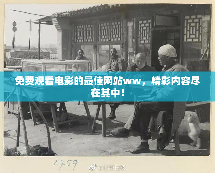 免费观看电影的最佳网站ww，精彩内容尽在其中！