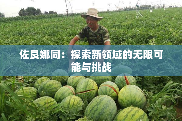 佐良娜同：探索新领域的无限可能与挑战