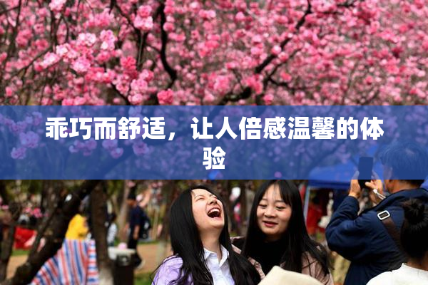 乖巧而舒适，让人倍感温馨的体验