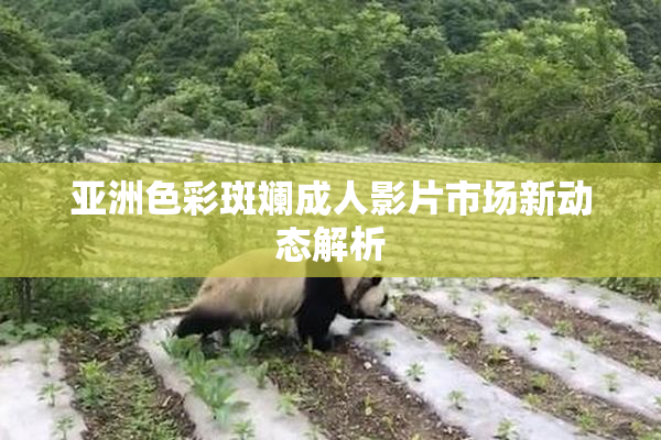 亚洲色彩斑斓成人影片市场新动态解析