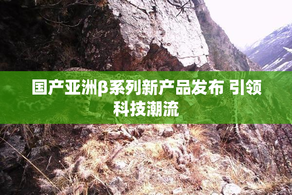 国产亚洲β系列新产品发布 引领科技潮流