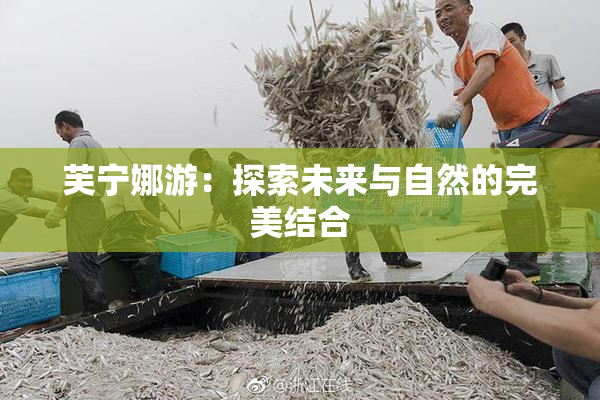 芙宁娜游：探索未来与自然的完美结合