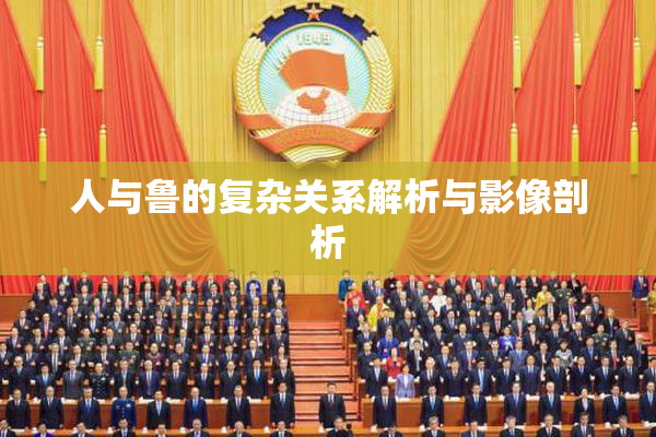 人与鲁的复杂关系解析与影像剖析