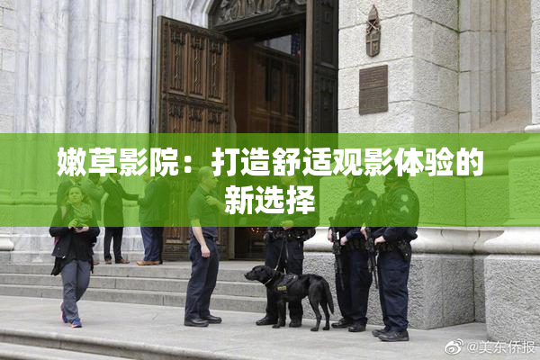 嫩草影院：打造舒适观影体验的新选择