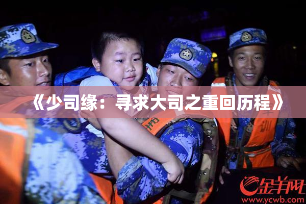 《少司缘：寻求大司之重回历程》
