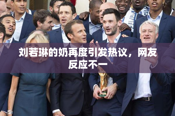 刘若琳的奶再度引发热议，网友反应不一