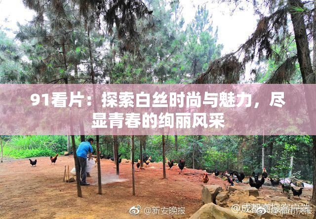 91看片：探索白丝时尚与魅力，尽显青春的绚丽风采