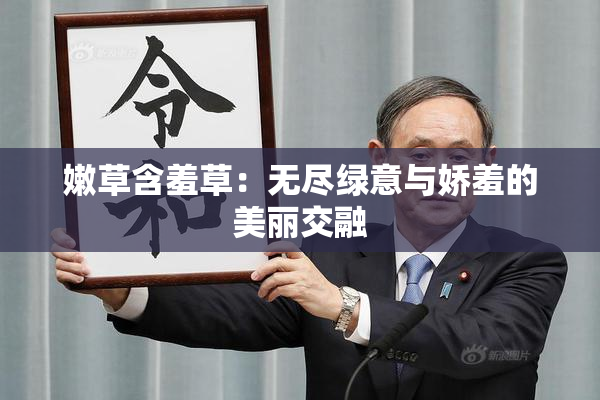 嫩草含羞草：无尽绿意与娇羞的美丽交融