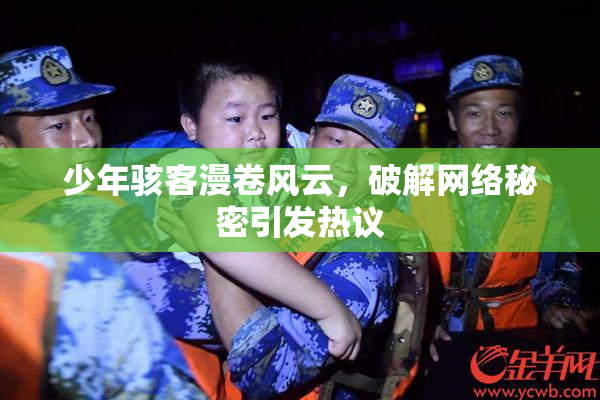 少年骇客漫卷风云，破解网络秘密引发热议