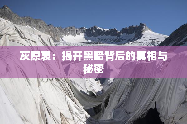 灰原哀：揭开黑暗背后的真相与秘密
