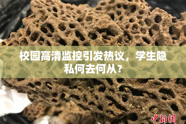 校园高清监控引发热议，学生隐私何去何从？
