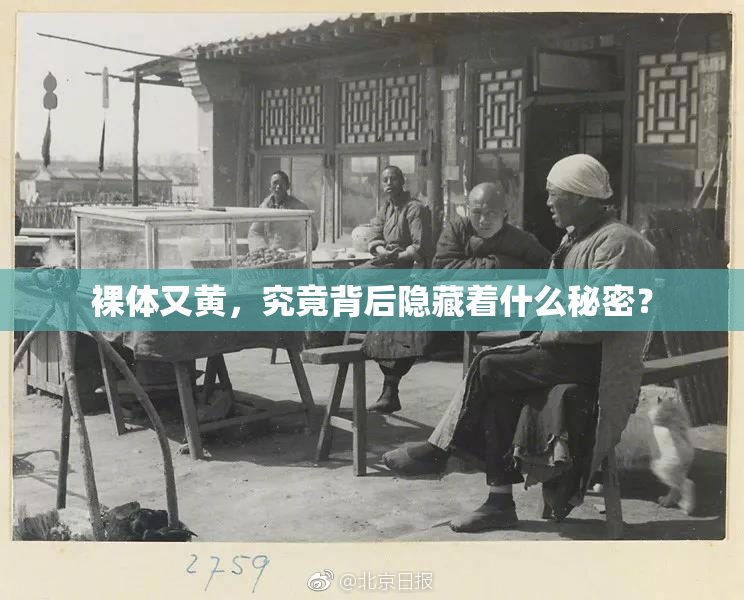 裸体又黄，究竟背后隐藏着什么秘密？
