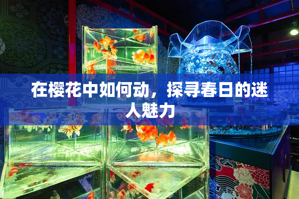 在樱花中如何动，探寻春日的迷人魅力