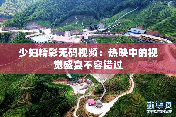 少妇精彩无码视频：热映中的视觉盛宴不容错过