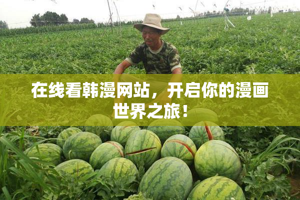 在线看韩漫网站，开启你的漫画世界之旅！