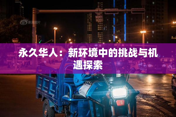 永久华人：新环境中的挑战与机遇探索