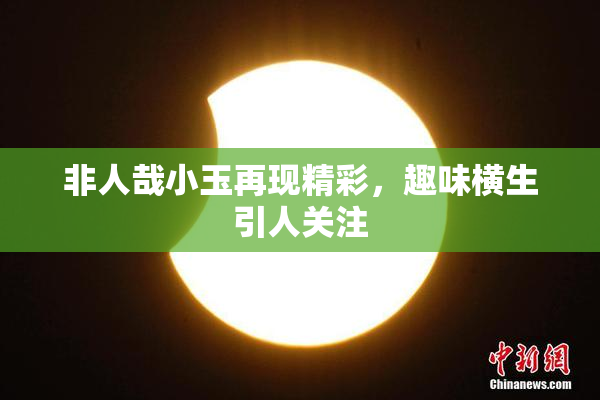 非人哉小玉再现精彩，趣味横生引人关注