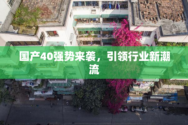国产40强势来袭，引领行业新潮流
