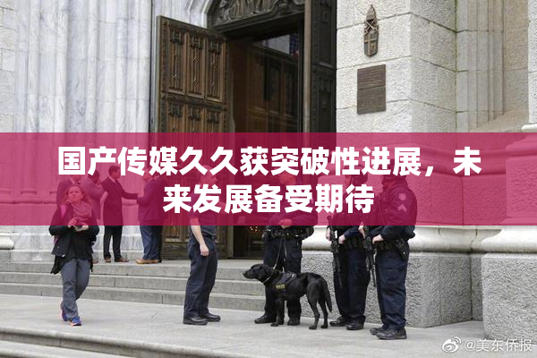 国产传媒久久获突破性进展，未来发展备受期待