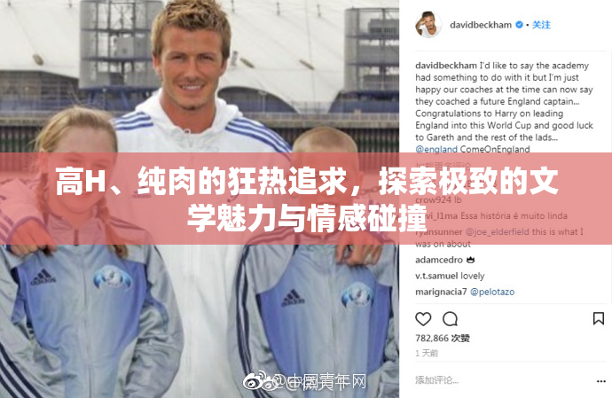 高H、纯肉的狂热追求，探索极致的文学魅力与情感碰撞
