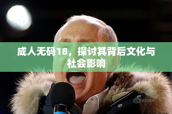 成人无码18，探讨其背后文化与社会影响