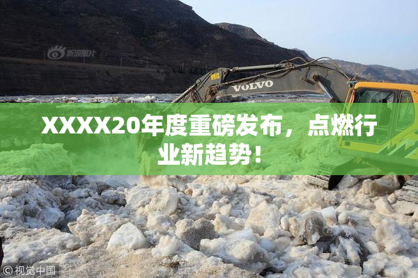 XXXX20年度重磅发布，点燃行业新趋势！