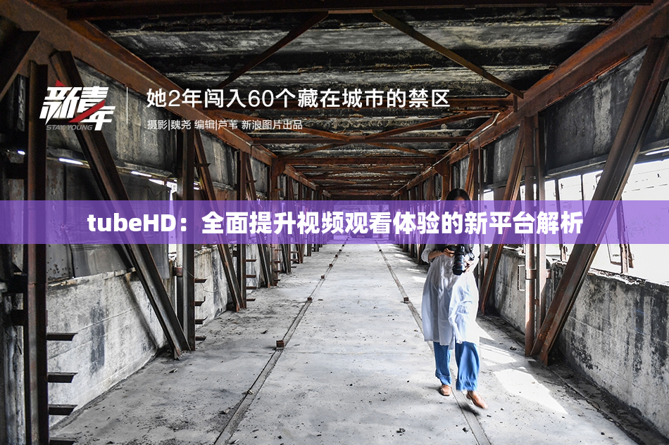 tubeHD：全面提升视频观看体验的新平台解析