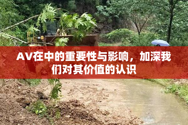 AV在中的重要性与影响，加深我们对其价值的认识