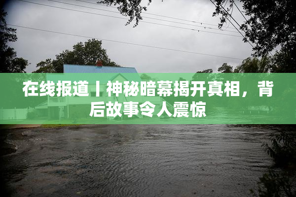 在线报道丨神秘暗幕揭开真相，背后故事令人震惊