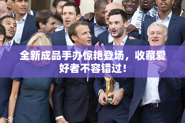 全新成品手办惊艳登场，收藏爱好者不容错过！