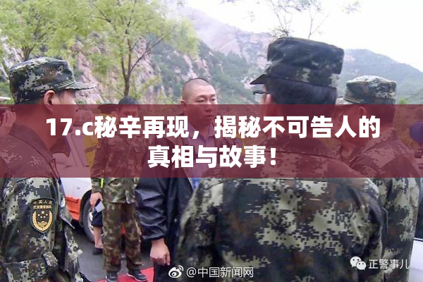 17.c秘辛再现，揭秘不可告人的真相与故事！