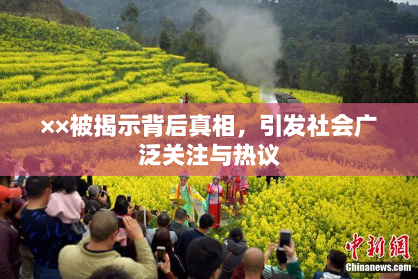 ××被揭示背后真相，引发社会广泛关注与热议