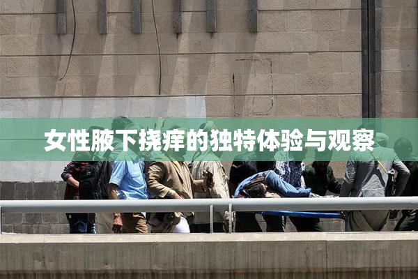 女性腋下挠痒的独特体验与观察