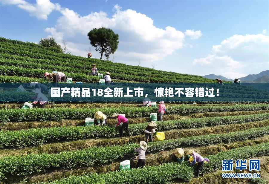 国产精品18全新上市，惊艳不容错过！