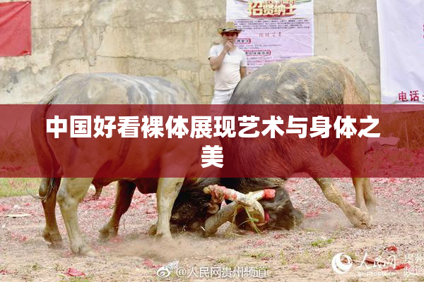中国好看裸体展现艺术与身体之美