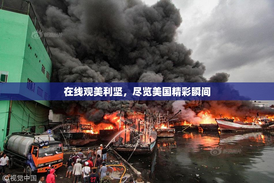 在线观美利坚，尽览美国精彩瞬间