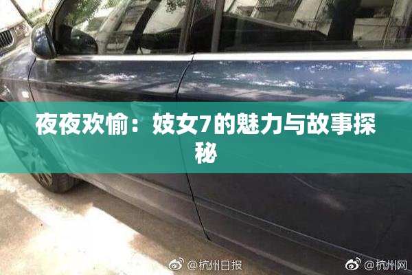 夜夜欢愉：妓女7的魅力与故事探秘