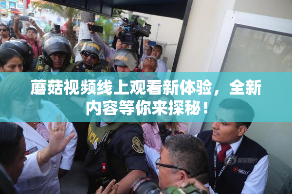 蘑菇视频线上观看新体验，全新内容等你来探秘！