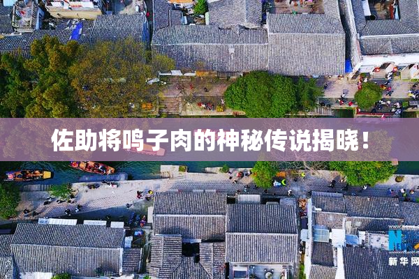佐助将鸣子肉的神秘传说揭晓！