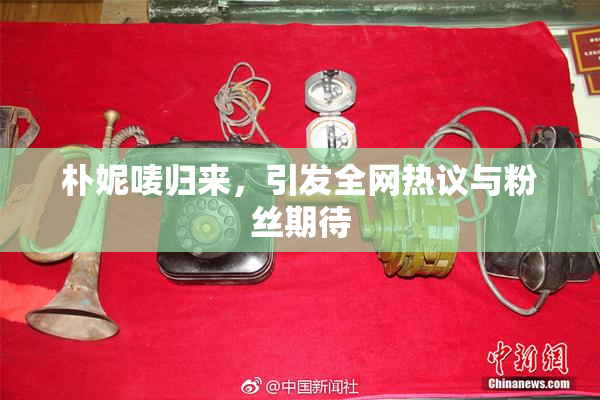 朴妮唛归来，引发全网热议与粉丝期待