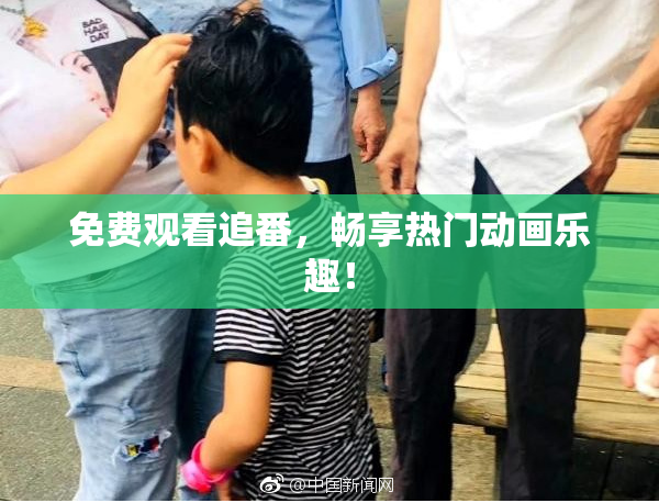 免费观看追番，畅享热门动画乐趣！
