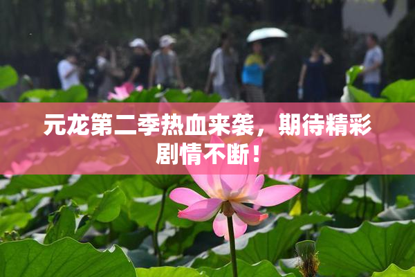 元龙第二季热血来袭，期待精彩剧情不断！