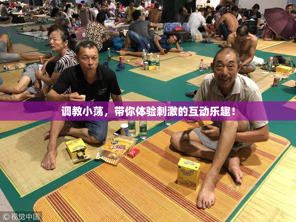 调教小荡，带你体验刺激的互动乐趣！