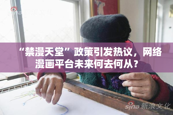 “禁漫天堂”政策引发热议，网络漫画平台未来何去何从？